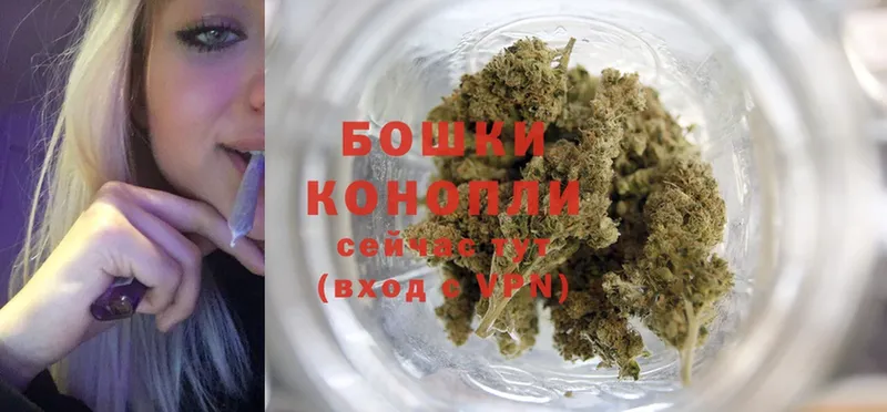 Бошки Шишки OG Kush  закладка  Снежногорск 